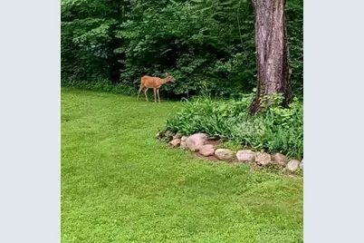 9897 Pleasant Valley Road, Somerville, OH 45064 - Photo 42