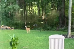 9897 Pleasant Valley Rd, Somerville, OH 45064 - Photo 44