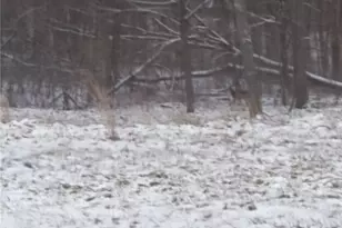 61000 Bolar Rd, Mc Arthur, OH 45342 - Photo 1