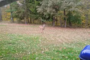 61000 Bolar Rd, Mc Arthur, OH 45342 - Photo 4