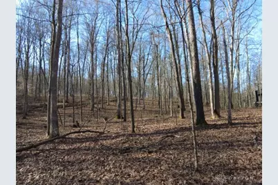 1459 State Route 73, Peebles, OH 45660 - Photo 6