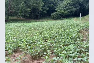 1459 State Route 73, Peebles, OH 45660 - Photo 48