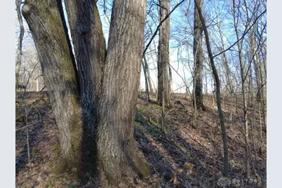 1459 State Route 73, Peebles, OH 45660 - Photo 1