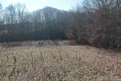 1459 State Route 73, Peebles, OH 45660 - Photo 38