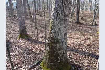 1459 State Route 73, Peebles, OH 45660 - Photo 10