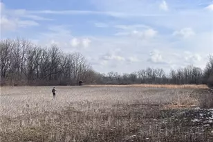 924 Eris Rd, Urbana, OH 43078 - Photo 50