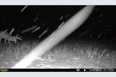 924 Eris Road, Urbana, OH 43078 - Photo 74