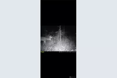 924 Eris Road, Urbana, OH 43078 - Photo 80