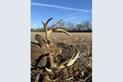 924 Eris Road, Urbana, OH 43078 - Photo 54