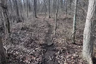 924 Eris Rd, Urbana, OH 43078 - Photo 32