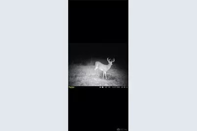 924 Eris Road, Urbana, OH 43078 - Photo 92