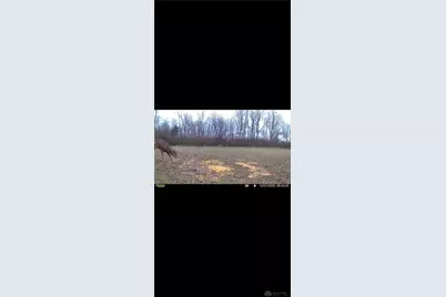 924 Eris Road, Urbana, OH 43078 - Photo 90