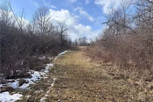 924 Eris Rd, Urbana, OH 43078 - Photo 24