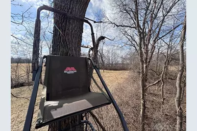 924 Eris Road, Urbana, OH 43078 - Photo 38