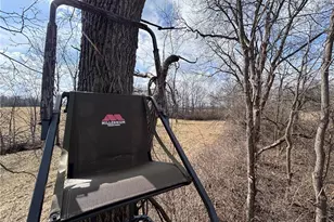 924 Eris Rd, Urbana, OH 43078 - Photo 38