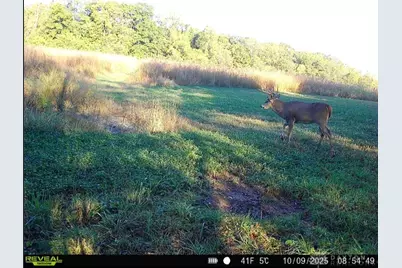 924 Eris Road, Urbana, OH 43078 - Photo 72