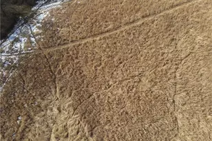 924 Eris Rd, Urbana, OH 43078 - Photo 54