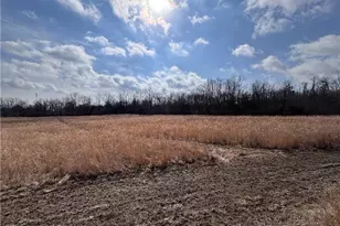 924 Eris Rd, Urbana, OH 43078 - Photo 22