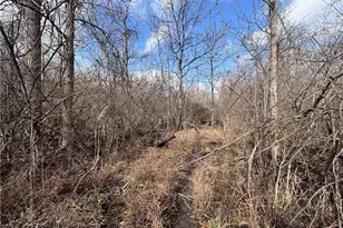 924 Eris Rd, Urbana, OH 43078 - Photo 42