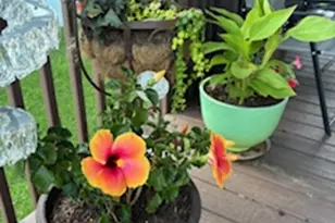 11392 Hollow Oak, Miami Township, OH 45342 - Photo 14