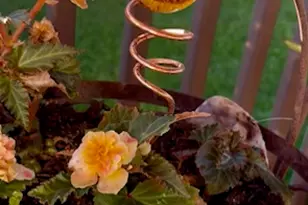 11392 Hollow Oak, Miami Township, OH 45342 - Photo 16