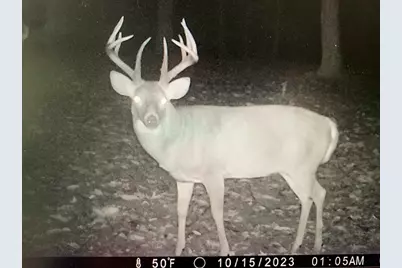 16 Black Hollow Road, Peebles, OH 45660 - Photo 38