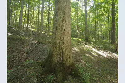 16 Black Hollow Road, Peebles, OH 45660 - Photo 6