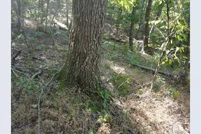 16 Black Hollow Road, Peebles, OH 45660 - Photo 28