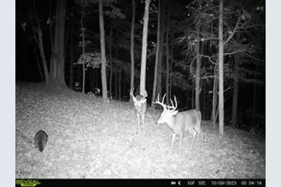 16 Black Hollow Road, Peebles, OH 45660 - Photo 34