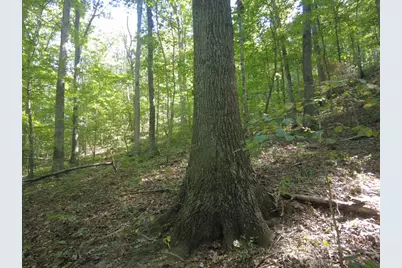 16 Black Hollow Road, Peebles, OH 45660 - Photo 10