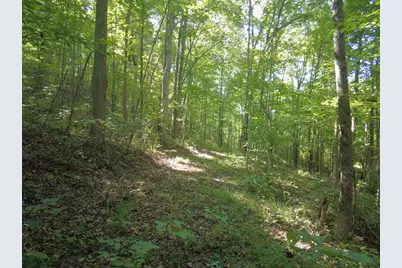 16 Black Hollow Road, Peebles, OH 45660 - Photo 8