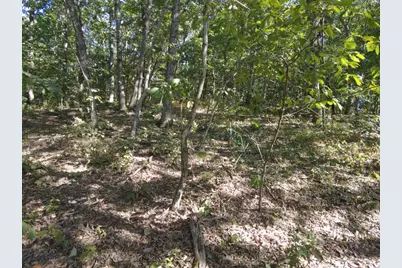 16 Black Hollow Road, Peebles, OH 45660 - Photo 18