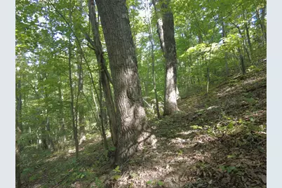 16 Black Hollow Road, Peebles, OH 45660 - Photo 12