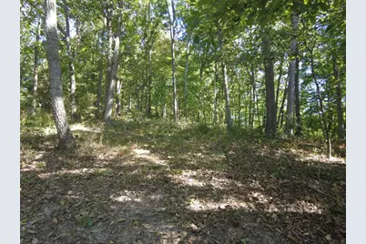 16 Black Hollow Road, Peebles, OH 45660 - Photo 22