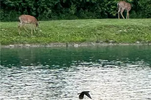 4301 Carnell Dr, Clearcreek Twp, OH 45036 - Photo 10