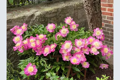 735 Tanglewood Drive, Springfield, OH 45504 - Photo 70