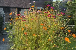 735 Tanglewood Dr, Springfield, OH 45504 - Photo 80