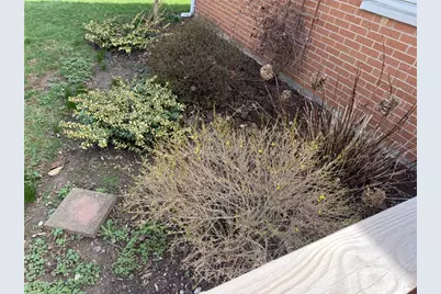 224 Perry Street, New Lebanon, OH 45345 - Photo 6