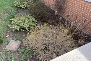 224 Perry St, New Lebanon, OH 45345 - Photo 6