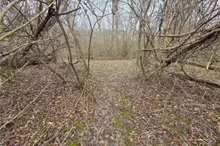 6459 Manning Rd, Miami Township, OH 45342 - Photo 62