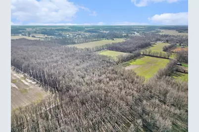 72-Acres Yankeetown, Hamersville, OH 45130 - Photo 10