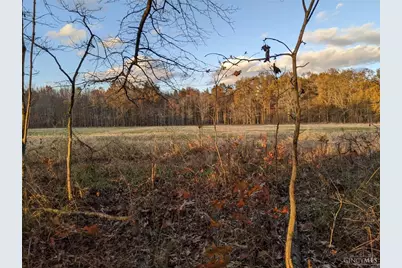72-Acres Yankeetown, Hamersville, OH 45130 - Photo 6