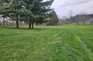 519 Moorefield Rd, Moorefield Twp, OH 45502 - Photo 22