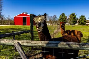 7426 Martz-Paulin Rd, Franklin Twp, OH 45005 - Photo 6