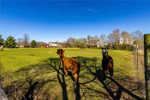 7426 Martz-Paulin Rd, Franklin Twp, OH 45005 - Photo 40