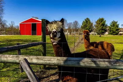 7426 Martz Paulin Road, Franklin Twp, OH 45005 - Photo 8