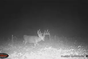 7583 Blue Creek Rd, Blue Creek, OH 45684 - Photo 52