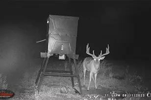 7583 Blue Creek Rd, Blue Creek, OH 45684 - Photo 56