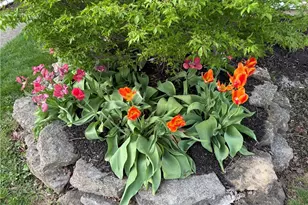 61 Martha Ave, Centerville, OH 45458 - Photo 24