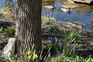 1377 Holes Creek Trace, Centerville, OH 45458 - Photo 14